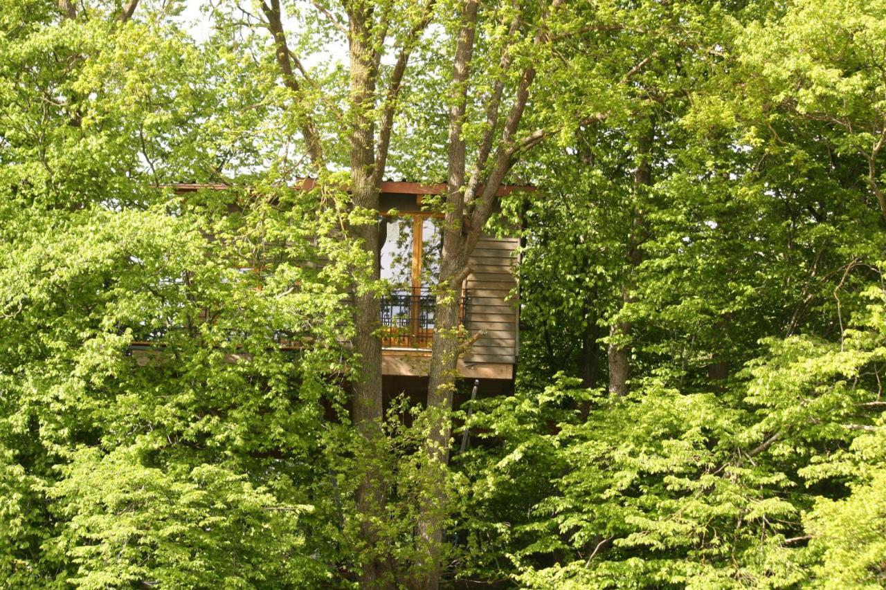Baumhaus Auf Dem Kellerberg Villa Fischach Buitenkant foto